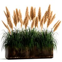 reeds in a rusty flower pot for the interior 932