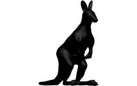 Kangaroo