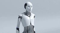 cyborg female