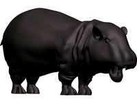 Hippopotamus