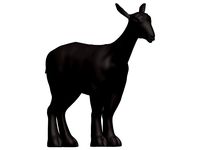 Markhor