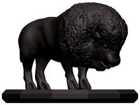 Bison