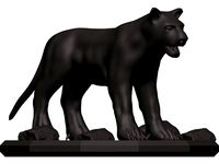 Black leopard