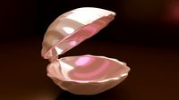 Ring shell