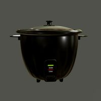 rice cooker