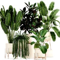 houseplants in a white rattan basket for the interior 913