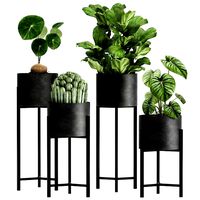 houseplants in a black pot for the interior 909
