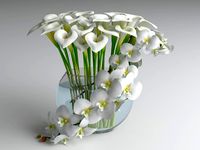 flowers composition 03