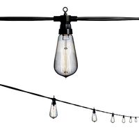 string lights edison lamps