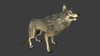 Wolfs