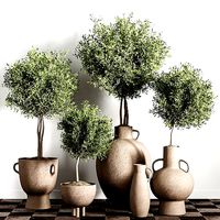 indoor plant stant 47