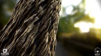 Fantasy Tree Bark Silver - Substance Designe