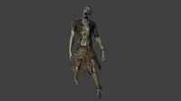Fantasy RPG Zombie