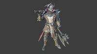 Fantasy RPG Human Warrior