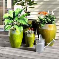 Shamritsky Terracotta Pot Planter - 2 Colour