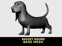 Basset Hound Basemesh