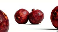 Pomegranate 002