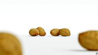 Peanut 001