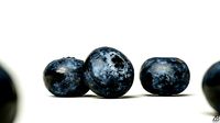 Blueberry 002