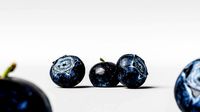 Blueberry 004