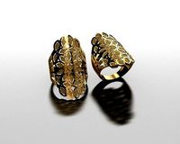 Fission Ring 42  | 3D