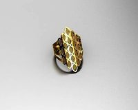 Fission Ring 41  | 3D