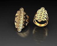 Fission Ring 37  | 3D