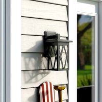 Dunphy Seeded Glass Outdoor Sconce