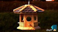 Bird Feeder