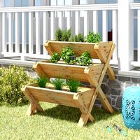 Konkol Fir Vertical Garden