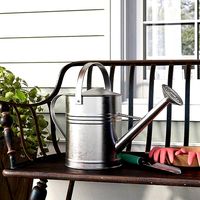 Wychwood Galvanized Watering Can