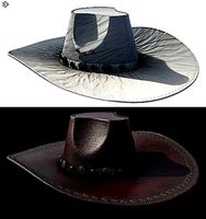 Cowboy  Hat  2 Types