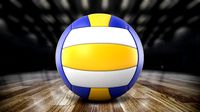 Volleyball Ball