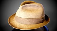 Flexy Hat