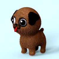 Dog Cute Pug