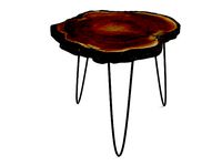 Tree Trunk Rustic Coffee Table