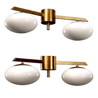 Ceiling Lamp by Angelo Lelli Style 2 Opalines