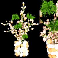 Collection plant vol 87