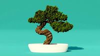 bonsai