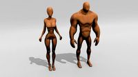 Stylized BaseMesh  Female and Male