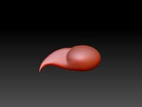 Claw Animal