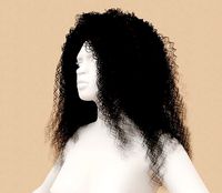 Curly Black African Hair
