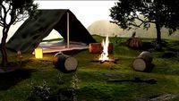 Campsite realistic plants with animated fire cheap