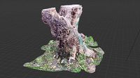 Tree trunk