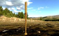 Baseball Bat