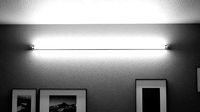 Double flourescent light