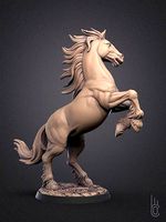 Rearing horse | 3D