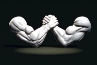 Arm Wrestling | 3D