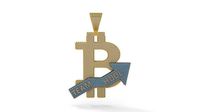 Bitcoin Pendant | 3D