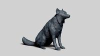 Border Collie V2 | 3D